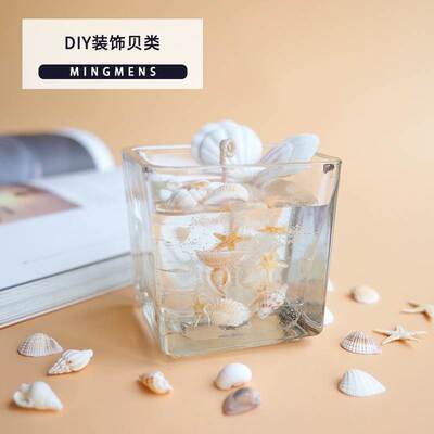 DIY candle decoration shellfish conch starfish small shell