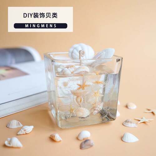 DIY candle decoration shellfish conch starfish small shell