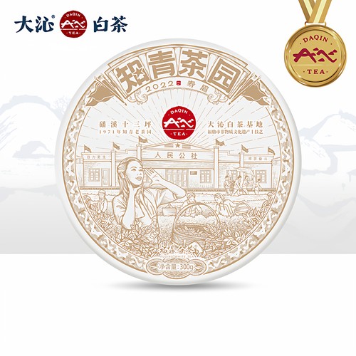 大沁福鼎白茶2022年寿眉饼