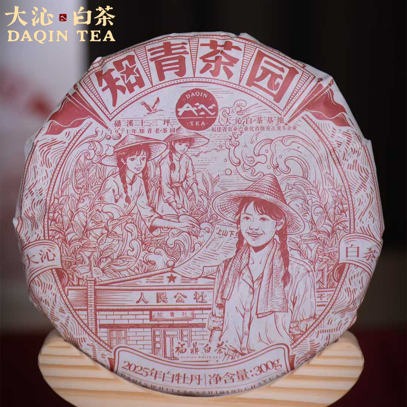大沁白茶2025年新品福鼎白茶知青茶园白牡丹饼