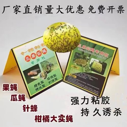 粘虫板粘果蝇适用蔬菜大棚果园