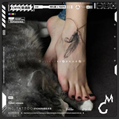 手绘北欧浪漫脚踝羽毛脚链性感纹身贴纸羽燕吊坠纹身女 tattoo