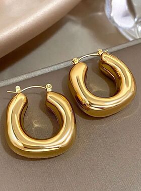 Chunky Chubby Stainless Steel Earrings for Women SimplePunk