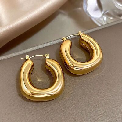 Chunky Chubby Stainless Steel Earrings for Women SimplePunk