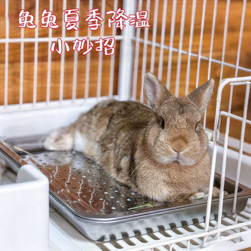 宠物冰垫夏季兔子窝耐抓耐咬小宠降温解暑冰盒猫咪狗狗睡觉凉垫
