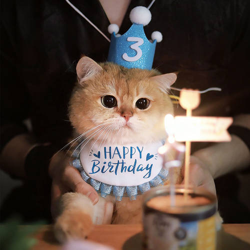 宠物生日装饰围脖猫咪口水巾帽子套装狗狗派对围嘴围兜拍照神器