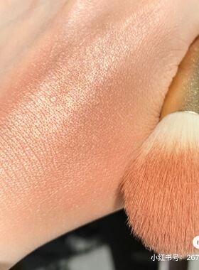 Nars 娜斯腮红Tempted 禁果4078  4.8g 老版正装19年产