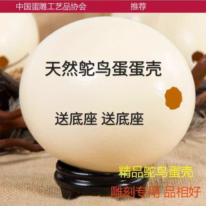 天然鸵鸟蛋壳超大鸵鸟蛋雕刻摆件摆件