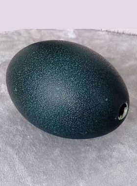 鸸鹋蛋,蛋壳可以桌摆,彩绘雕刻