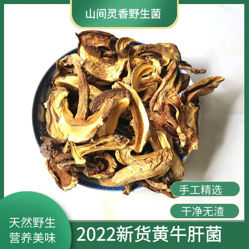 云南野生黄牛肝菌2022新货特级黄赖头牛肝菌黄香牛肝菌纯天然干片怎么看?