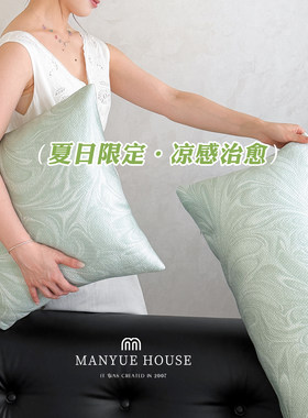 蔓越家夏天凉感丝高级睡觉抱枕