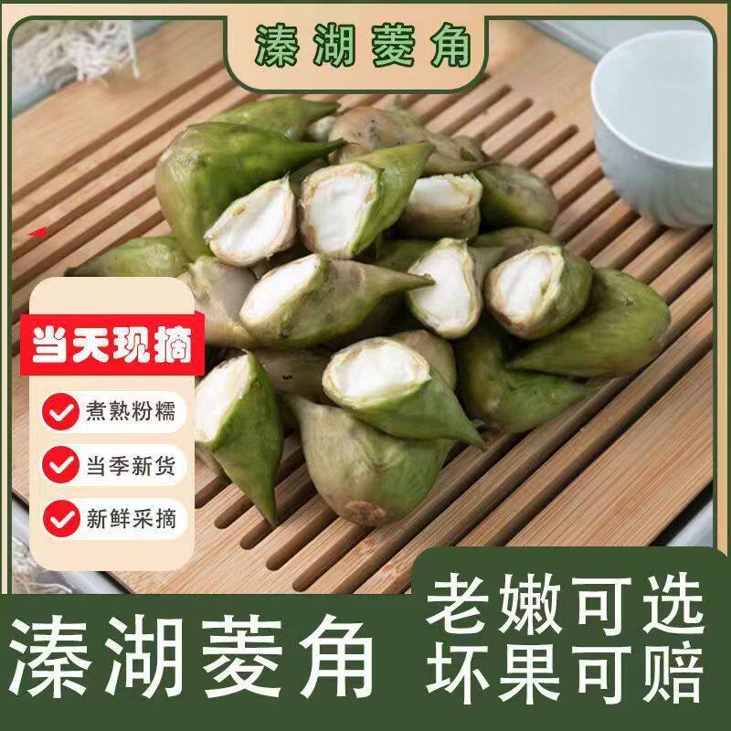 2026新品泰州溱湖菱角