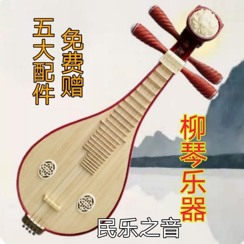 柳琴花梨清水抛光儿童入门学生练习成人考级老师演奏民族乐器包邮 民乐之音 淘优券