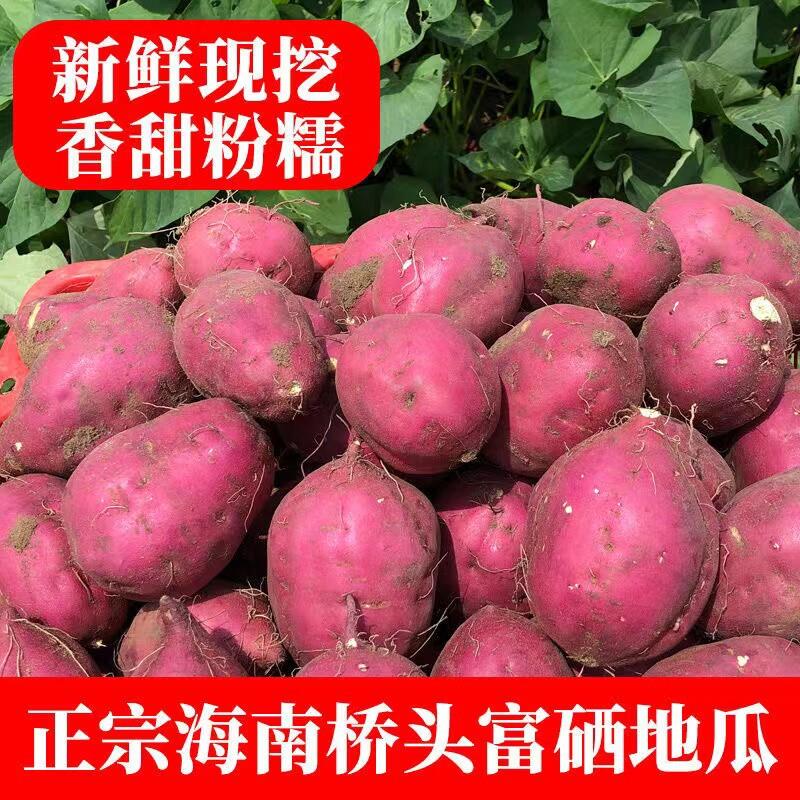 海南特产 澄迈桥头富硒地瓜沙土种植 香甜粉糯长寿珍品圆果包邮