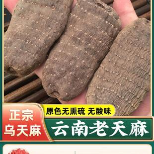 乌天麻特级云南昭通小草坝正品彷野生新鲜干货中药材片官方旗店