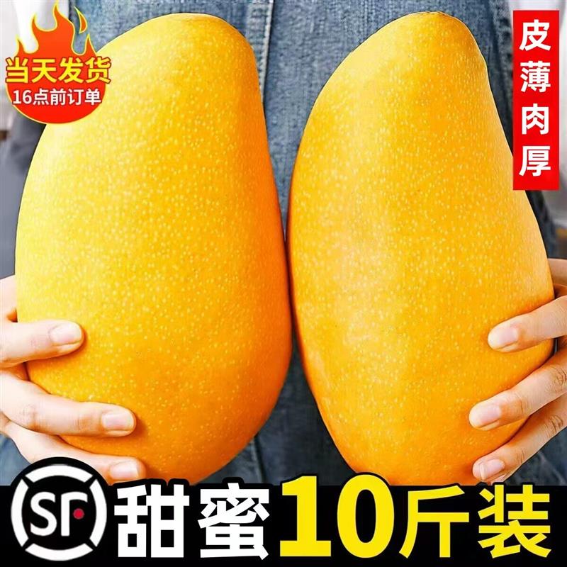 海南金煌芒果精选大果10斤新鲜热带水果当季水仙芒皮薄肉厚包邮