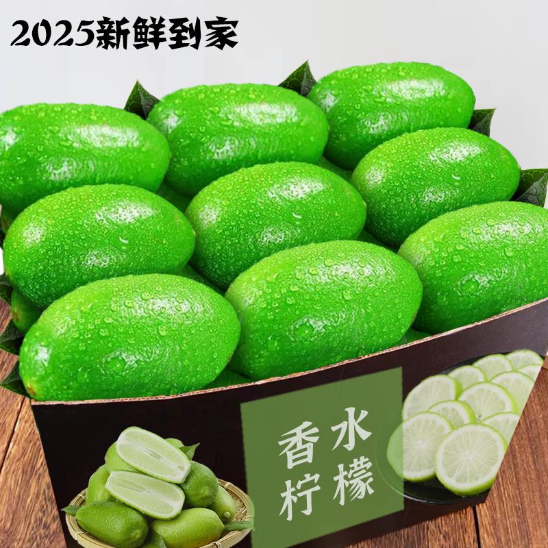 无籽海南香水柠檬夏日饮品新鲜现摘当季水果酸爽青柠檬产地直发