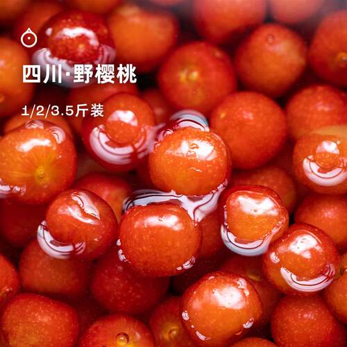 15天内发 企鹅市集 四川野樱桃 大凉山耙樱桃小樱桃新鲜时令水果