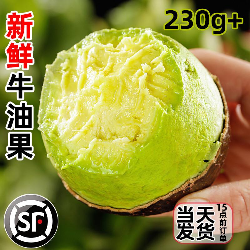 新鲜牛油果哈斯12新鲜水果应当季孕妇整箱鳄梨大果官方旗店15个