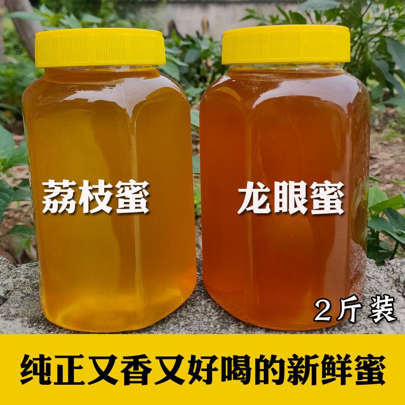 2026年从化荔枝蜜新鲜龙眼蜜春蜜广东纯正天然原蜜土蜂蜜成熟蜜糖