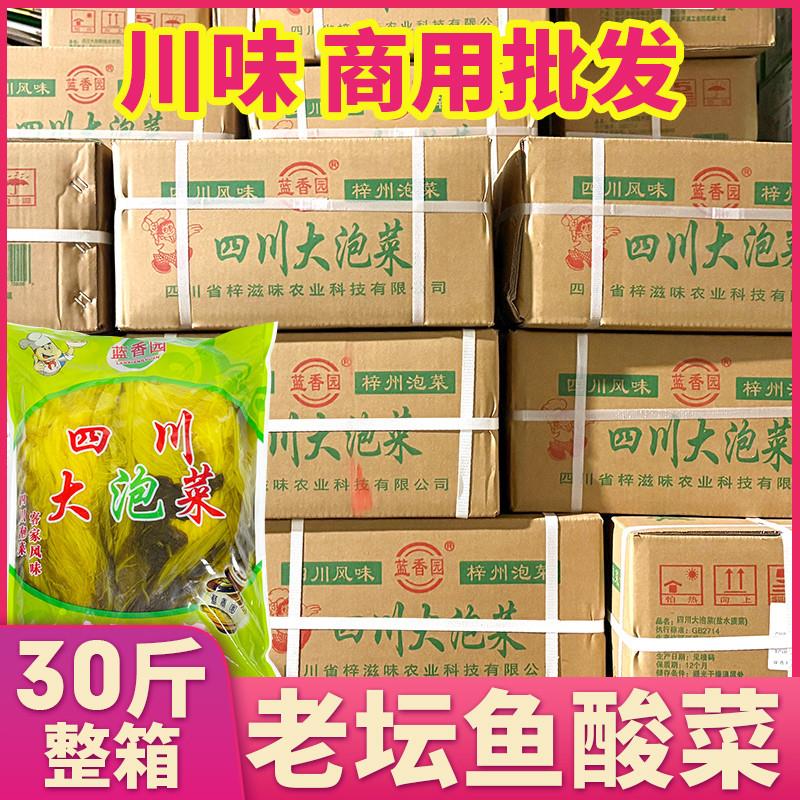 四川大泡菜酸菜商用30斤泡青菜酸菜鱼专用酸菜米线大袋装