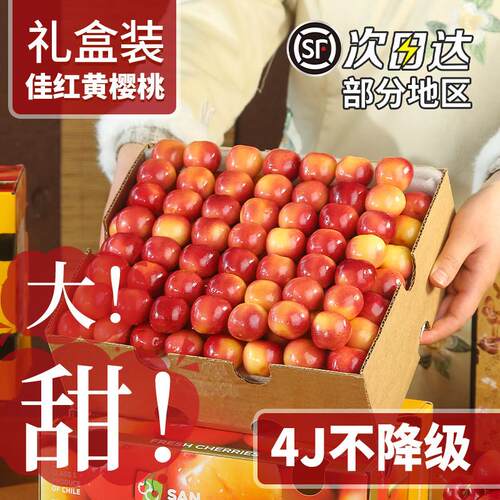 大连佳红黄樱桃新鲜水果整箱包邮美黄金车厘子特大甜国红J-4J顺丰