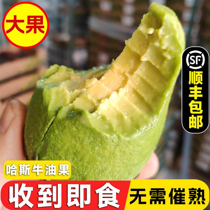 即食熟牛油果秘鲁进口哈斯新鲜水果副食品鲜鳄梨商用熟透超大果