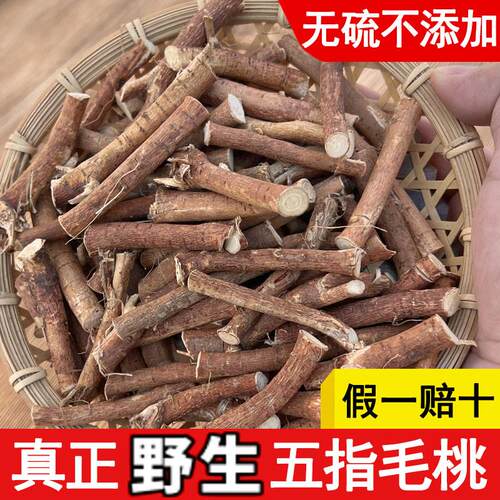 广东韶关五指毛桃根新鲜无硫特级中药材干货煲汤料包正宗五爪龙