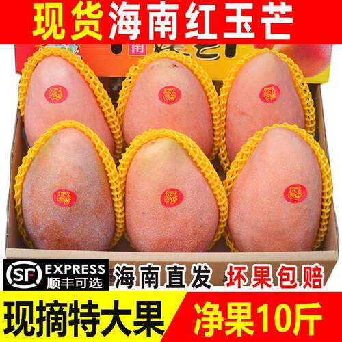 海南红玉芒果三亚玉文芒超级大芒果当季新鲜水果10斤红澳芒可顺丰