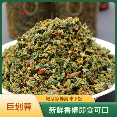 湖南凉拌香椿芽新鲜嫩芽湘西香辣椿芽菜下饭菜香椿咸菜春芽春天菜