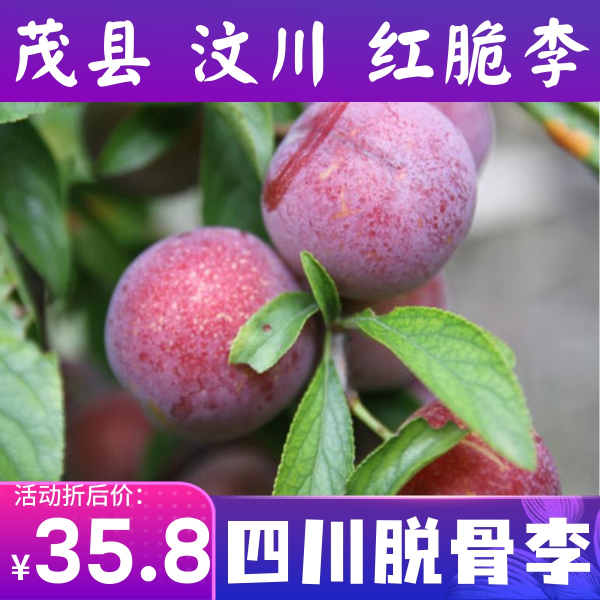 红脆李茂县汶川脱骨李新鲜水果脆