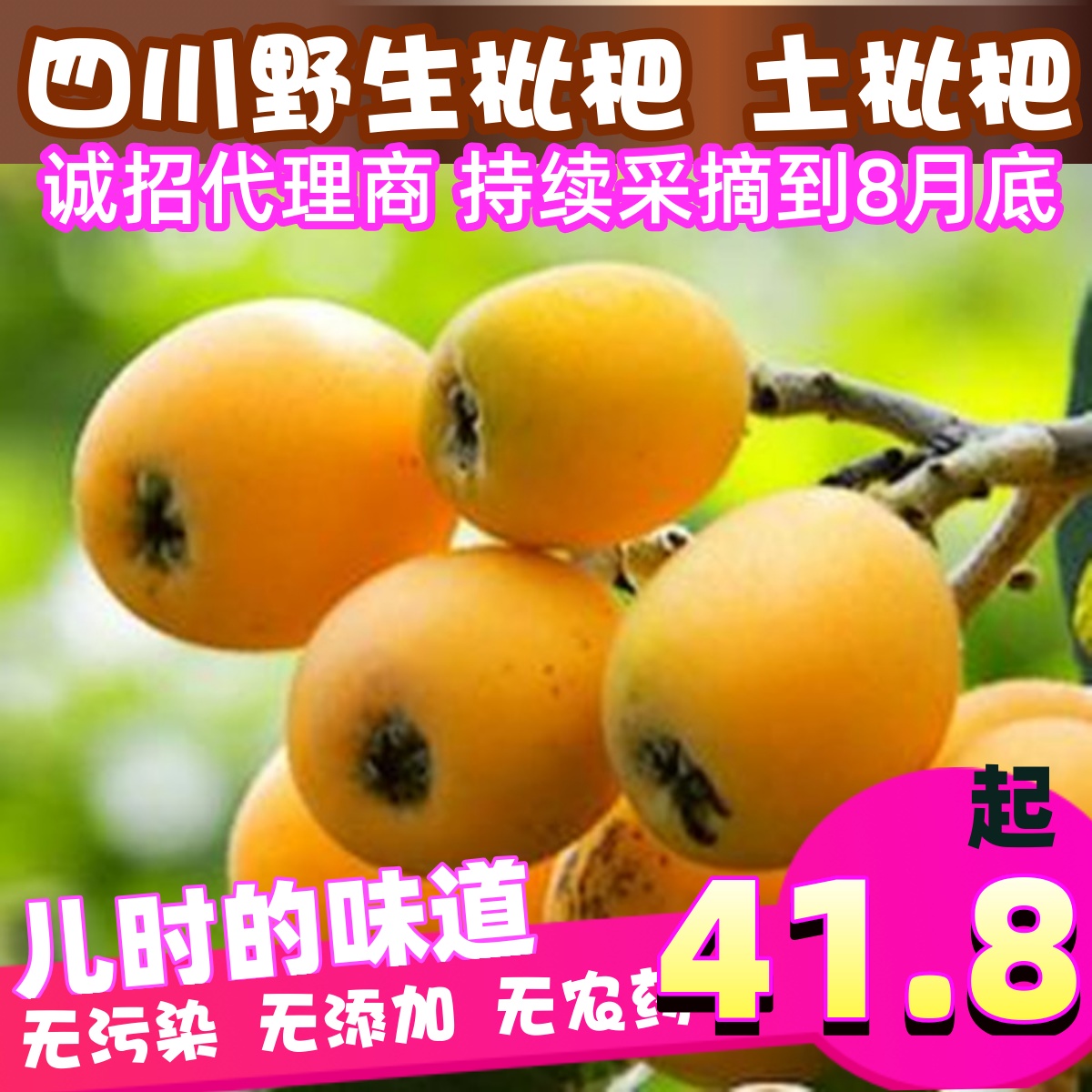 四川野生枇杷土琵琶新鲜顺丰水果