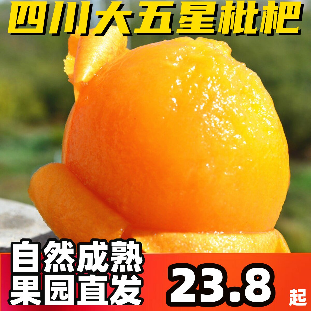 四川大五星枇杷新鲜孕妇水果高山甜琵琶自然熟果园直发