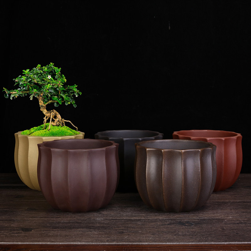 紫砂兰花盆精品圆形绿植蝴蝶兰君子兰桌面石湾云竹黄杨盆景盆特价