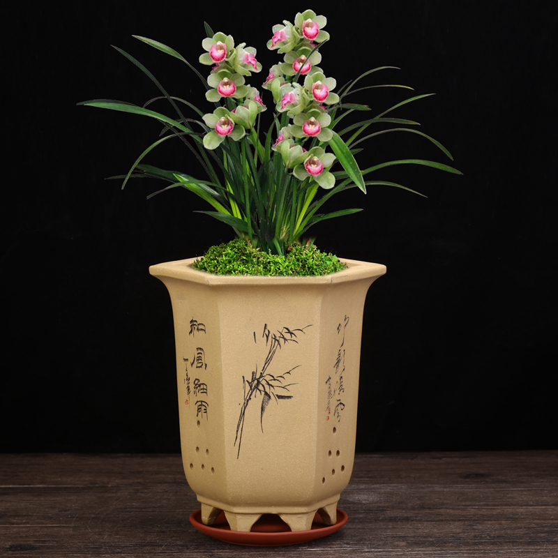 紫砂兰花盆桌面精品六方刻绘君子兰蝴蝶兰惠春墨兰松柏专用盆清仓