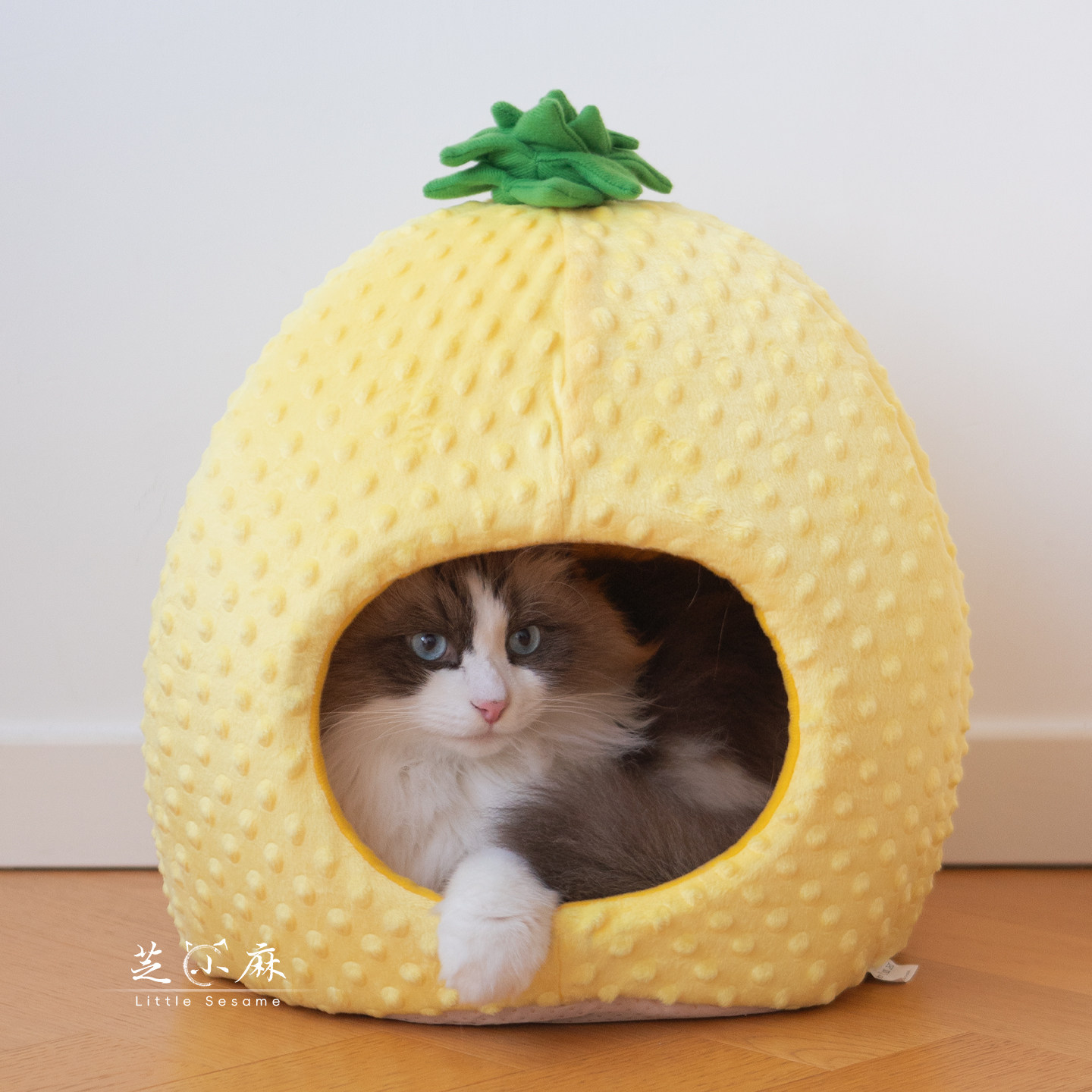 芝小麻菠萝蒙古包宠物窝豆豆绒猫屋冬天保暖封闭式猫窝狗窝猫帐篷,宠物/宠物食品及用品,猫窝/屋/帐篷/沙发,淘宝优惠券,粉丝福利购,淘宝优惠卷