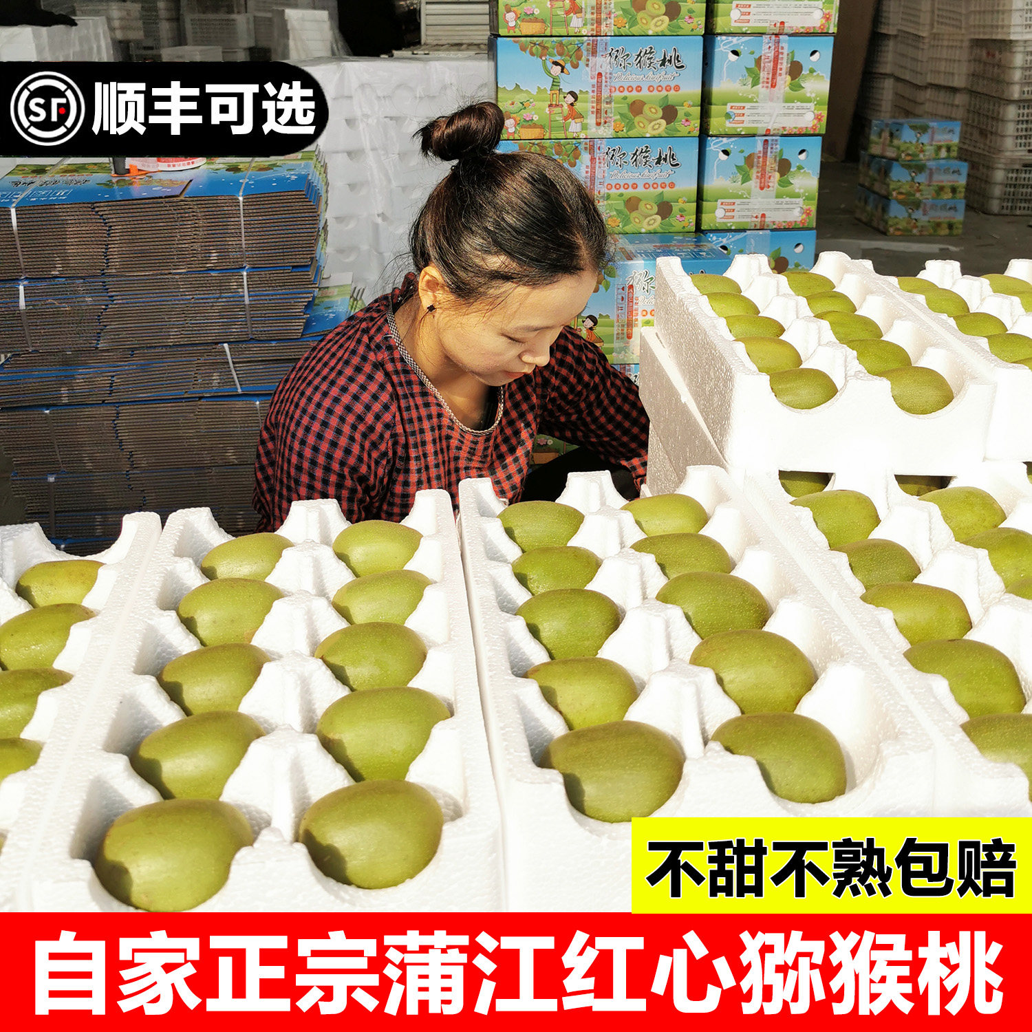 精选果红心猕猴桃香甜多汁现摘