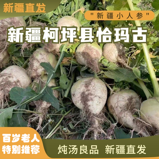 新疆柯坪恰玛古正宗特产芜菁5斤产地直发诸葛菜营养丰富民族美食