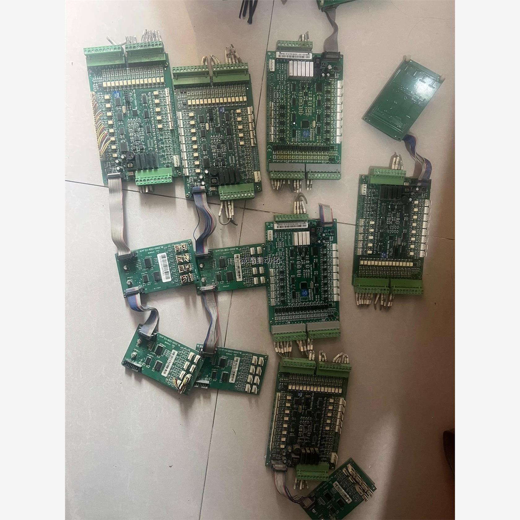 沈阳蓝光BL2-CZV8娇箱操