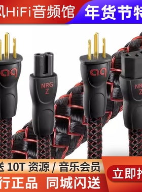 Audioquest/线圣 NRG-Y3 Z3 Y2电源线解码耳放HiFi音响CD机功放线