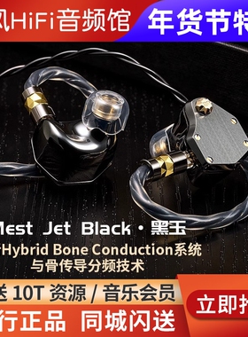 UM/Unique Melody Mest Jet Black黑玉骨传导HiFi发烧有线耳机塞