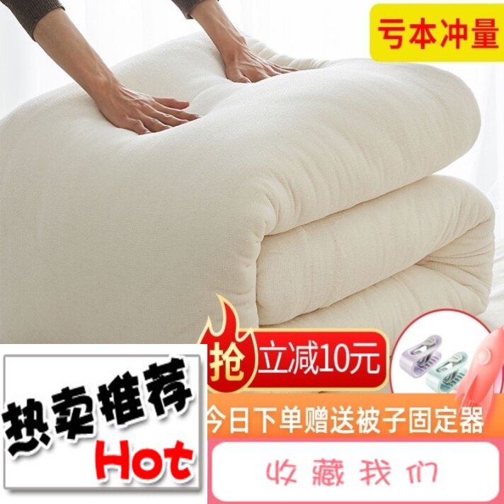 其他沙发春秋新疆棉被