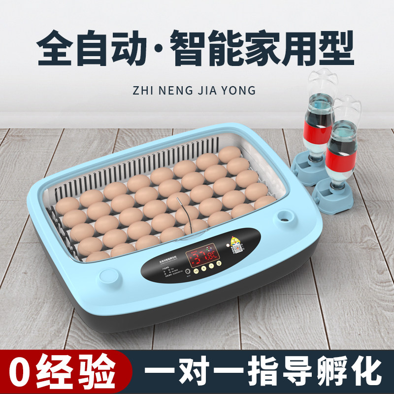 孵蛋器孵小鸡的水床芦丁鸡孵化器小型家用型孵化蛋孵化箱孵化机