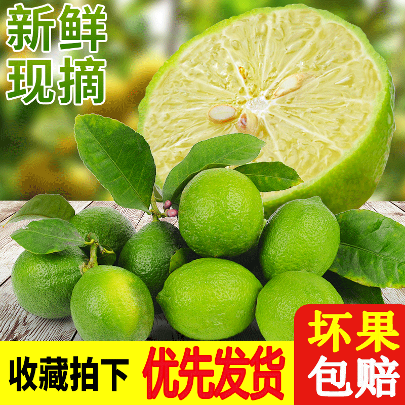 海南当季青柠檬新鲜免邮2斤小青柠皮薄汁多现摘现发柠檬水果批发|msdalam kategori daging perikanan/Buah-buahan segar dan sayur-sayuran/dimasak, buah-buahan segar, Lemon - dari Buy2taobao.com untuk memberikan perkhidmatan ejen Taobao profesional membeli