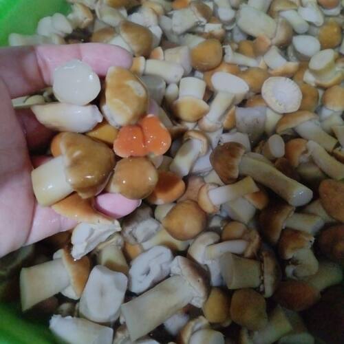 东北特产盐水蘑菇球盖菇赤松茸菌包蘑菇腌渍赤松茸盐水球盖蘑