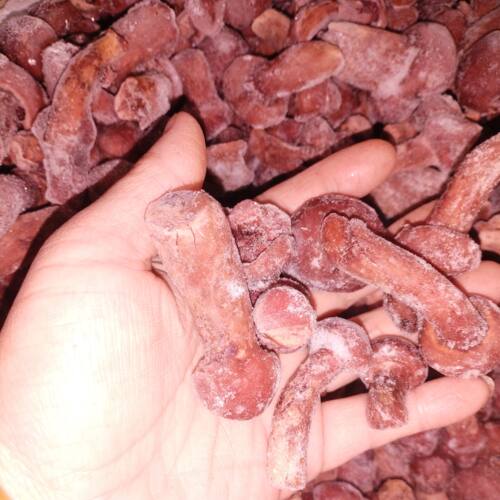 东北速冻松伞蘑新鲜冷冻肉蘑冷冻红蘑肉蘑小丁野生蘑菇