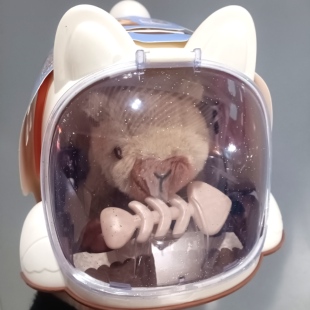 1号店儿童电动毛绒小兔子小狗猫咪宠物车笼子屋会走会叫益智玩具