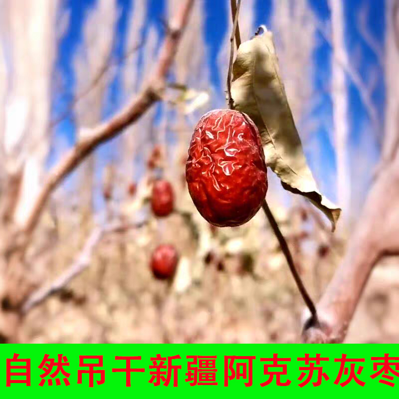 红枣整箱新疆兵团未洗灰枣