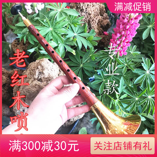 专业唢呐保养油老红木镀金碗吹奏乐器全套dD调c调演奏级双12天津