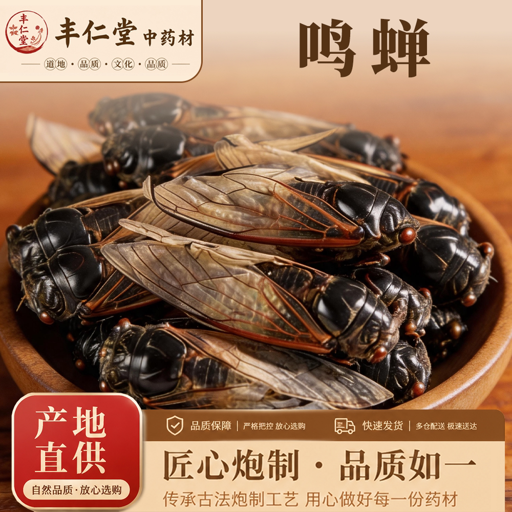 野生鸣蝉干货中药材10克包邮公母叫叫蝉/知了猴/虫蜕/蝉衣/爬了猴
